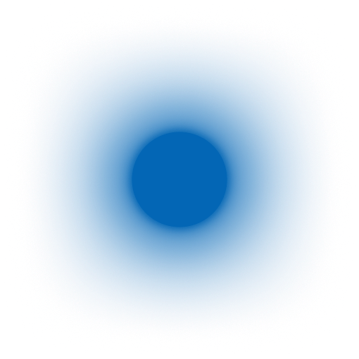 Web Software Web Software